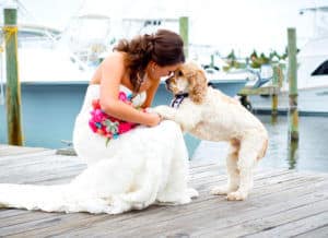 Your Pets of Honor