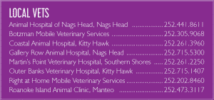Outer banks veterinarians