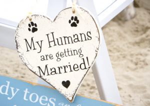 dog in wedding sign
