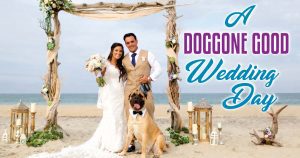 pets in wedding
