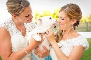 Gingersnaps Photography