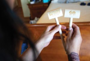 beach wedding planning