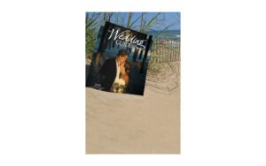 outer banks free wedding guide