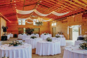 ©SARAH D’AMBRA PHOTOGRAPHY