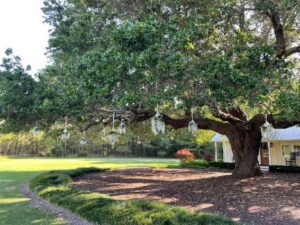 ©The Pointe Golf Club Weddings