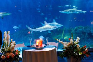North Carolina Aquarium on Roanoke Island wedding